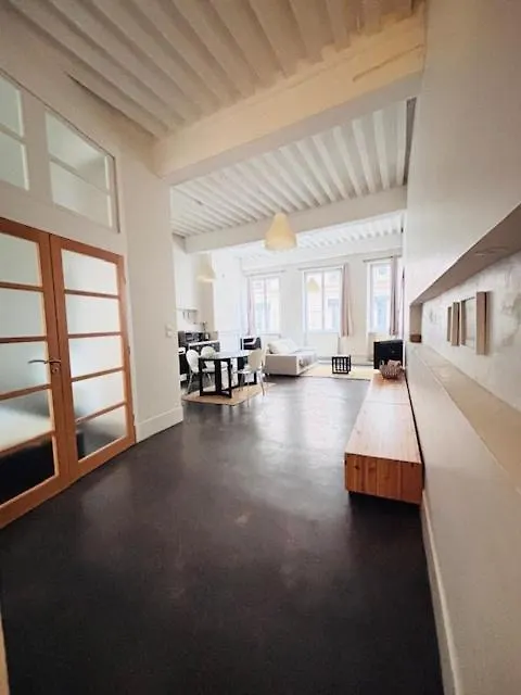 Appartement Au Centre De Lyon Flandrin